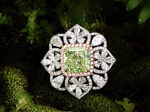 森林系列（個人主頁-ZNjU1NjEzOTI=） - 產(chǎn)品攝影 - 站酷設(shè)計師唯心怒爾原創(chuàng)素材 - 站酷ZCOOL