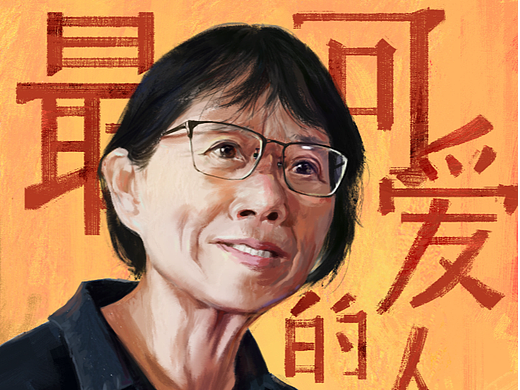 组画《最可爱的人》之 张桂梅