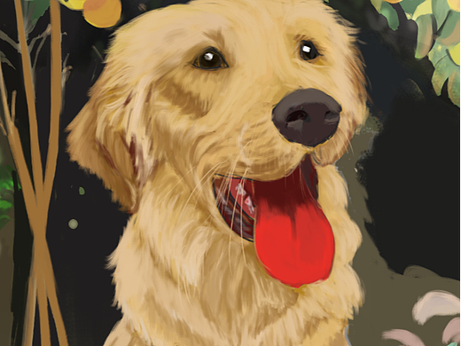 插画作业合集（个人主页-ZNjQ0Mjc5MDQ=） - 商业插画 - 站酷设计师贰伊原创素材 - 站酷ZCOOL