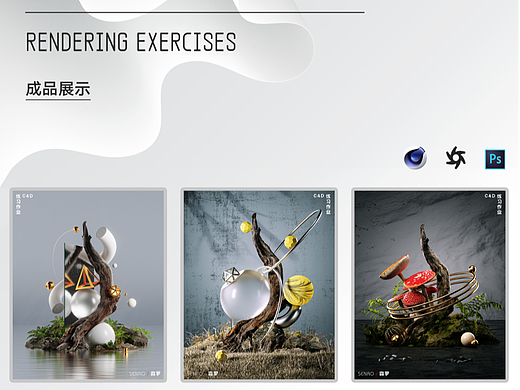 树枝岩石自然场景