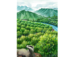 任濡清茶叶包装插画设计