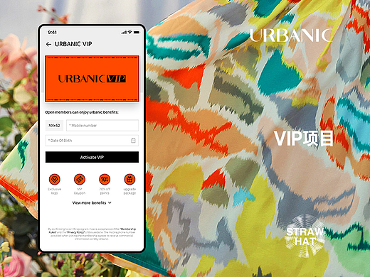 「VIP项目」-多语言UIUX案例分享