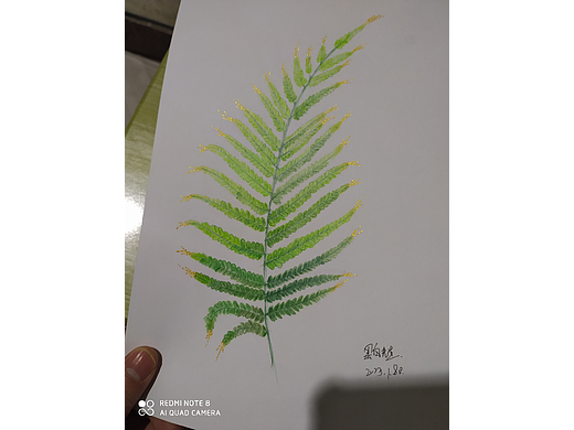 彩鉛練習(xí)（個人主頁-ZNjM2ODIwNDA=） - 創(chuàng)作習(xí)作 - 站酷設(shè)計(jì)師黑面原創(chuàng)素材 - 站酷ZCOOL