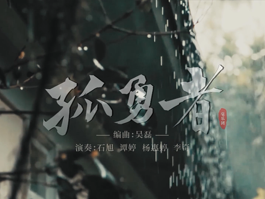 民乐《孤勇者》