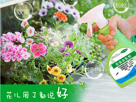 花卉药剂详情设计