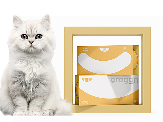 oragon龍辰优选-宠物品牌全案设计（个人主页-ZNjgxMzQ4MjA=） - 品牌 - 站酷设计师天目设计原创素材 - 站酷ZCOOL