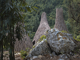 雨林秘境 – 弄岗森林公园接待中心