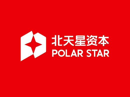 品牌设计,专业logo设计,VI设计案例分享 | 北天星资本