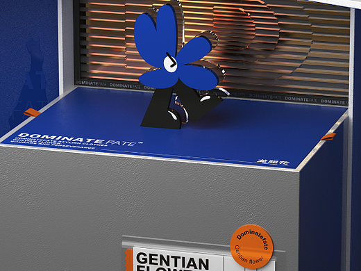 龙胆花 潮牌PR礼盒