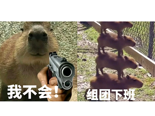 2023没什么事就先别走(年度合计3)