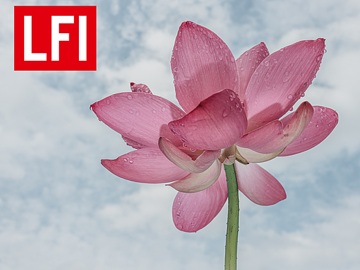 2022下半年LFI入选作品（个人主页-ZNjM2MTQzOTY=） - 人文/纪实摄影 - 站酷设计师williamfang原创素材 - 站酷ZCOOL