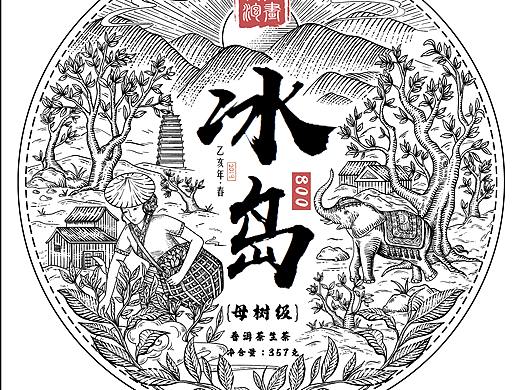 云南普洱茶|冰岛茶|包装插画设计|版画