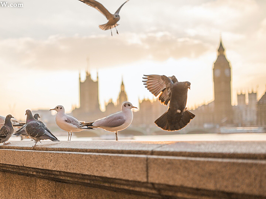 24组LUTs城市建筑复古电影调色预设CITY COLOR GRADES/LUTS