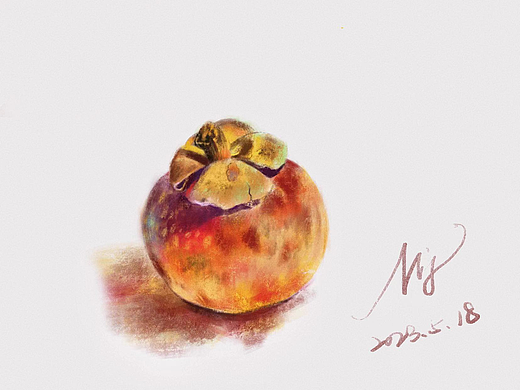 静物写生 画师繁星第一期第一周练习