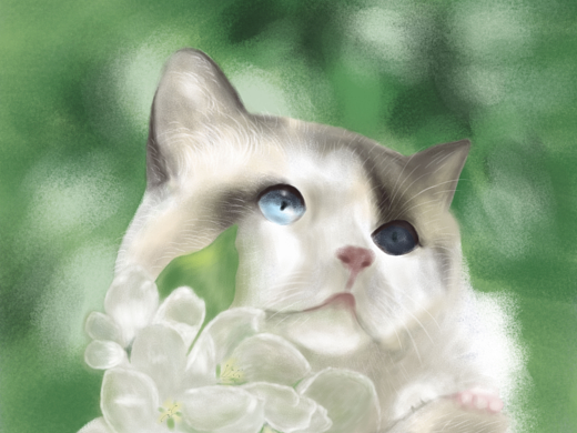 恬静的小猫咪