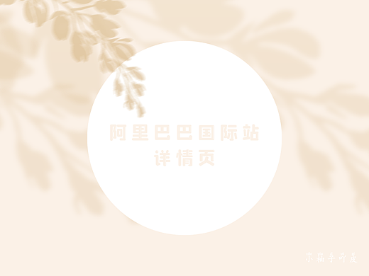 跨境电商-国际站扎带详情页