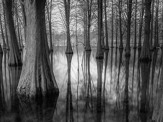 青西郊野公园|富士xh2