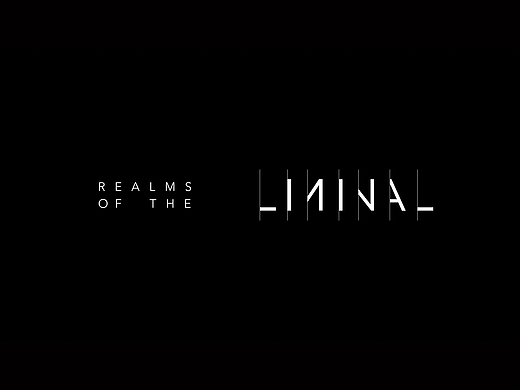 REALMS OF THE LIMINAL 域见间品牌设计