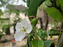 #遇见声动吴江#吴江黎里