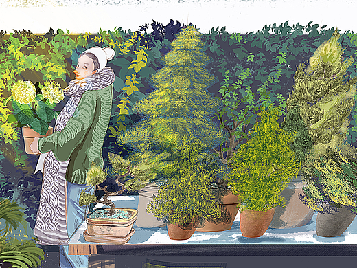 为帝罗马绘制的电商插画