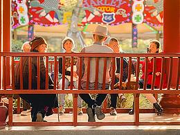 成都文化公園隨拍