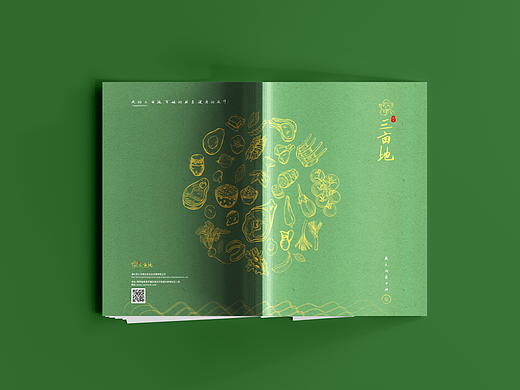 招商手册设计