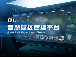 大数据可视化