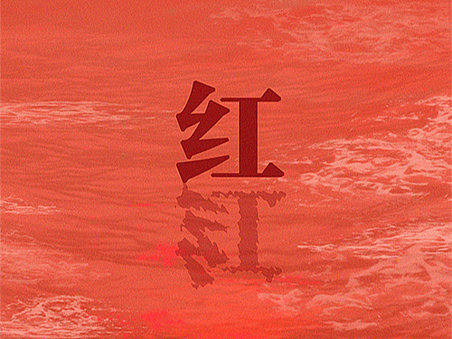 彻底消失前，她经历了什么？