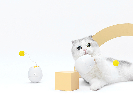 宠物玩具拍摄 |猫咪玩具-球形蛋壳产品x万有引力摄影