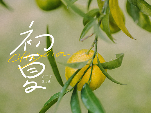 2023/05/一 手寫（個人主頁-ZNjUxNDM0ODQ=） - 字體/字形 - 站酷設計師大象LOGO設計原創(chuàng)素材 - 站酷ZCOOL