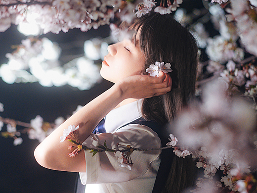 夜樱