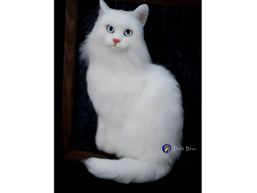 羊毛毡猫咪全身相框之肥猫（个人主页-ZNjI2MDQxNDg=） - 其他手工艺 - 站酷设计师水良平原创素材 - 站酷ZCOOL