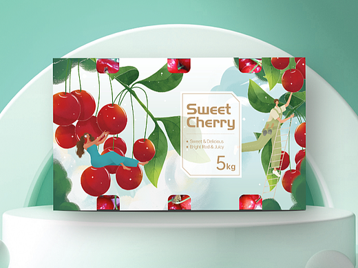 樱桃车厘子包装