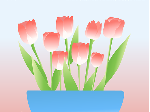 碗里生花