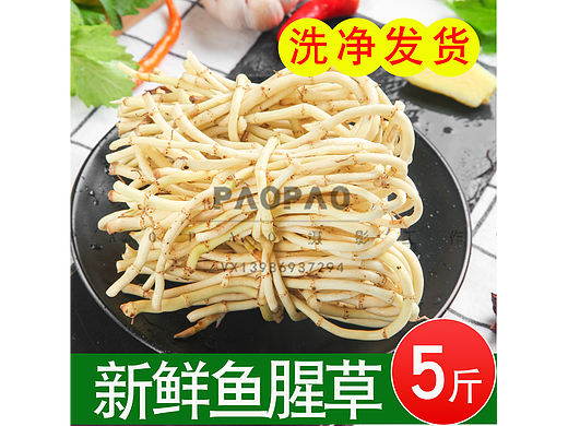新鲜折耳根主图，详情，视频全套高清素材可商用