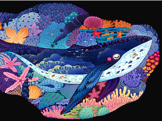 海螺鲸鱼儿童益智拼图产品插画