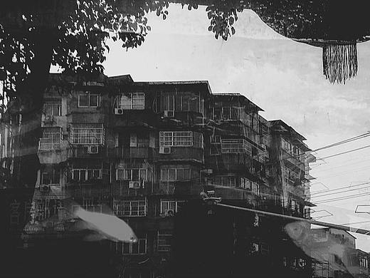 · 小 城 杂 记 ·
