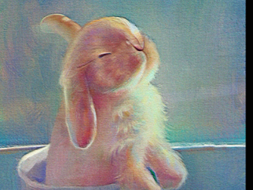 day11动物质感练习大逃杀