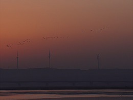 小秦的摄影作品集