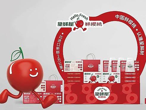 星鲜树丨品牌形象视觉方案