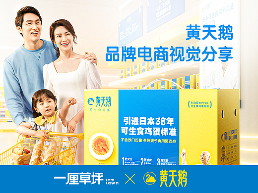 黄天鹅可生食鸡蛋 x 一厘草坪 品牌电商视觉分享