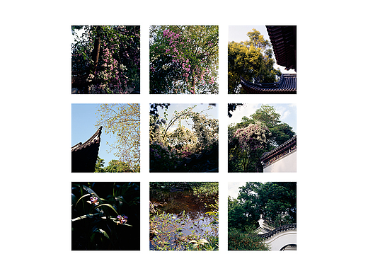 菲林記視簿｜園博園