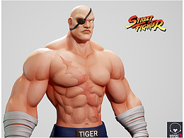 Street Fighter—维克托·沙加特