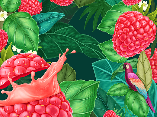 酵素包装插画#保健食品