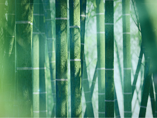 国风毕业设计短片—《别君叹》