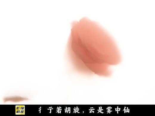 限时的花：彳亍若胡旋，云是雾中仙