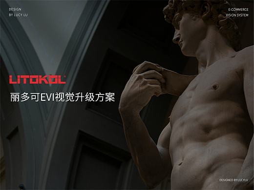 LITOKOL丽多可-意大利建材EVI视觉升级方案