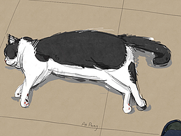 I haven't painted for a long time.