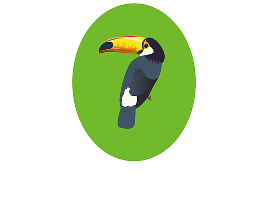 Toco