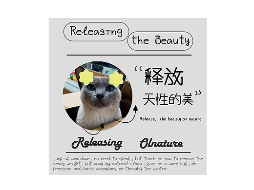 第二天